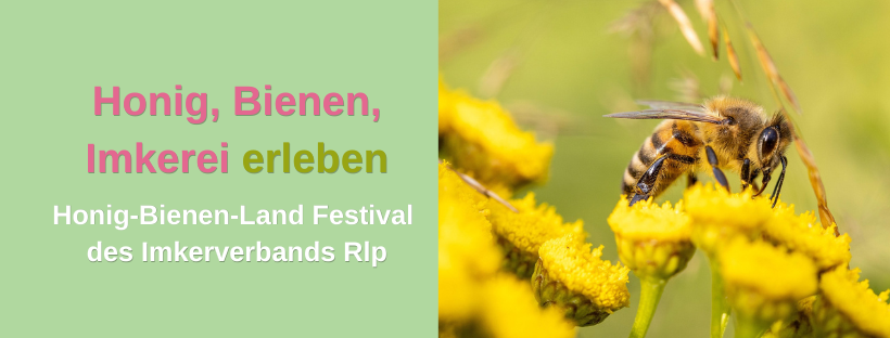 Bild Biene: Honig, Biene, Imkerei erleben Honig-Bienen-Land Festival des Imkerverbands Rlp
